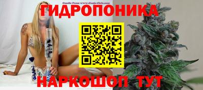 тгк Лесосибирск