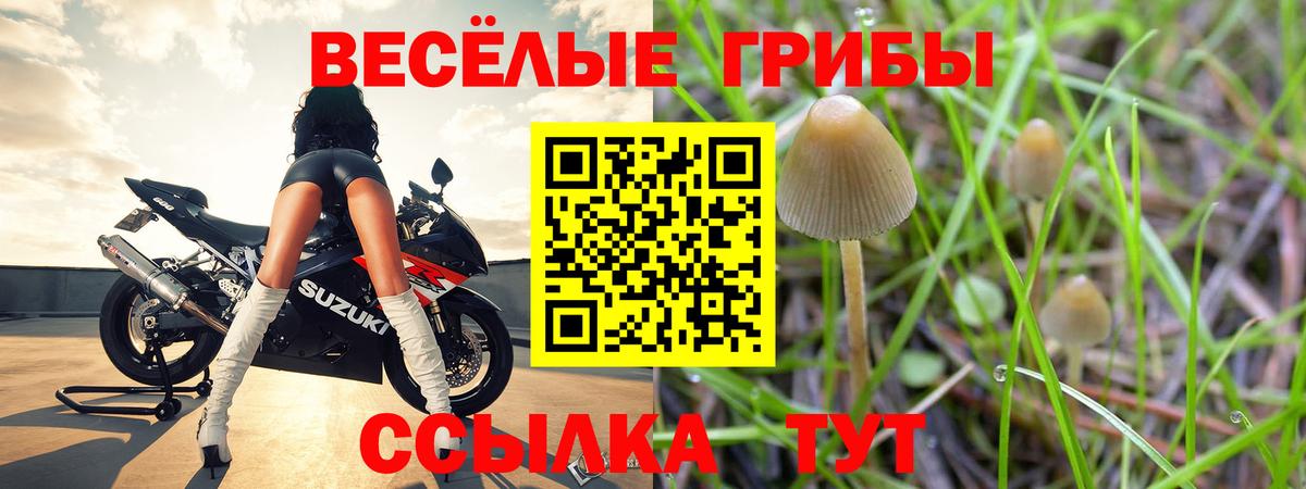Димитровград  Галлюциногенные грибы мицелий  Вход с VPN 