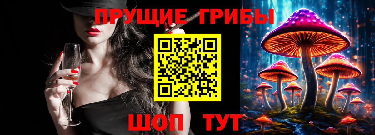 Псилоцибиновые грибы мицелий Димитровград